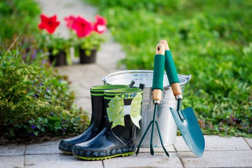 Advanced lawn maintenance tools and equipment for Walthamstow lawns