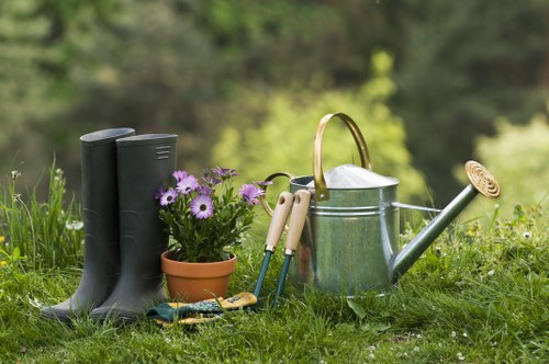 Tree management services in Walthamstow
