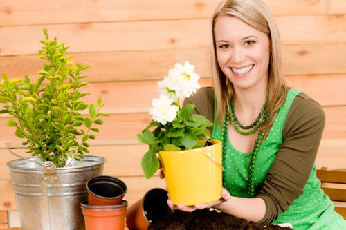Professional landscapers working in a Walthamstow garden
