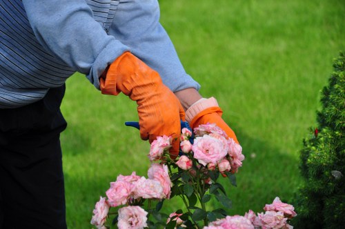 Winter garden protection measures